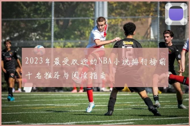 2023年最受欢迎的NBA小说排行榜前十名推荐与阅读指南