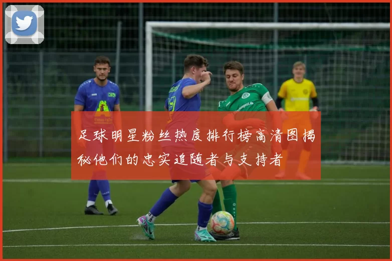 足球明星粉丝热度排行榜高清图揭秘他们的忠实追随者与支持者