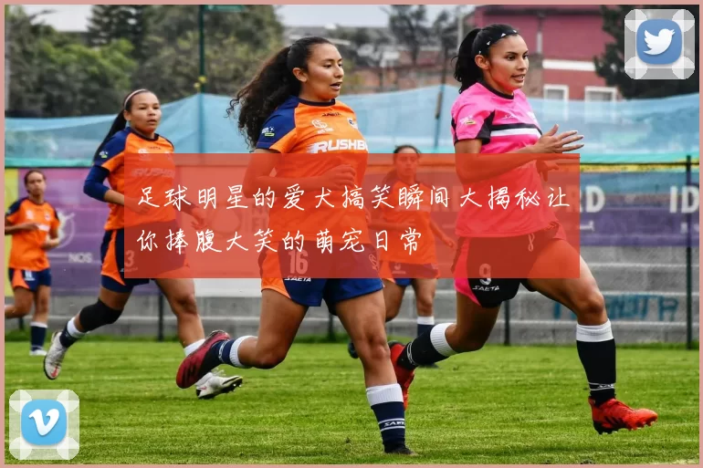 足球明星的爱犬搞笑瞬间大揭秘让你捧腹大笑的萌宠日常